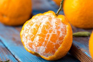 丑八怪是涼性的嗎？丑八怪是熱性還是涼性