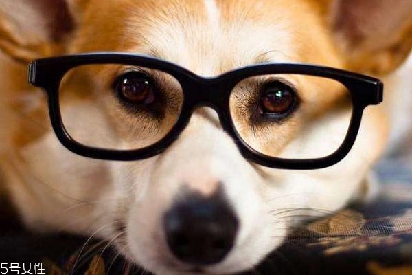 戴眼鏡脫妝嚴(yán)重怎么辦 戴眼鏡化妝怎么定妝 戴眼鏡脫妝嚴(yán)重怎么辦 戴眼鏡化妝怎么定妝