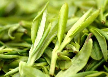 龍井什么時(shí)候喝最好 喝龍井的最佳季節(jié) 龍井什么時(shí)候喝最好 喝龍井的最佳季節(jié)