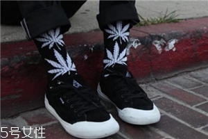 楓葉襪子是什么牌子？楓葉襪子品牌介紹