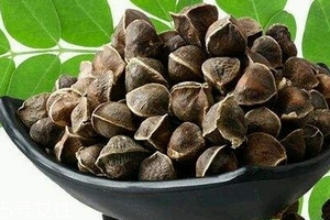 辣木籽哪里產(chǎn)的好？哪里的辣木籽最好？