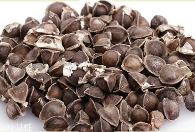 辣木籽哪里產(chǎn)的好？哪里的辣木籽最好？