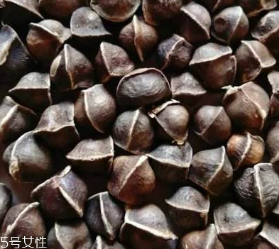 辣木籽哪里產(chǎn)的好？哪里的辣木籽最好？