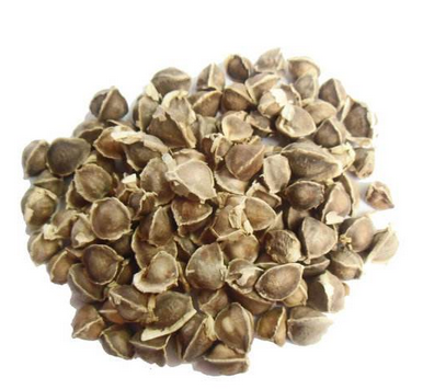 辣木籽是藥材嗎？辣木籽屬于什么？