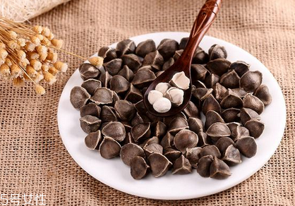 辣木籽是藥材嗎？辣木籽屬于什么？