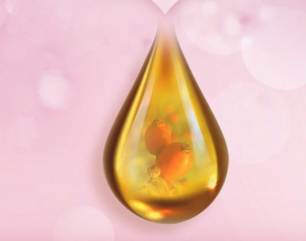 玫瑰果油使用方法 玫瑰果油使用注意事項 玫瑰果油使用方法 玫瑰果油使用注意事項