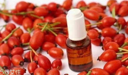 玫瑰果油可以天天用嗎？玫瑰果油多久用一次