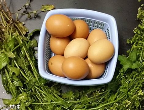 地菜花薺菜花煮雞蛋上午吃還是下午吃？