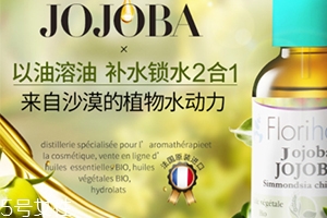 荷荷巴油和玫瑰果油哪個好？霍霍巴油和玫瑰果油對比