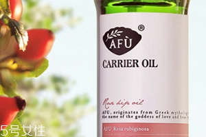 荷荷巴油和玫瑰果油哪個好？霍霍巴油和玫瑰果油對比