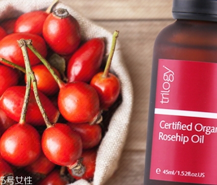 玫瑰果油可以抹頭發(fā)嗎？玫瑰果油可以直接擦臉嗎