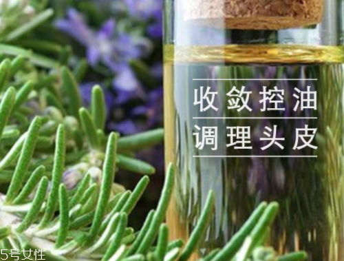 迷迭香精油怎么用？迷迭香精油使用注意事項(xiàng)