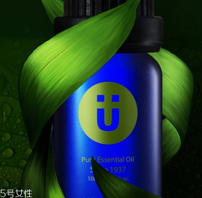 尤加利精油味道是什么？好聞嗎