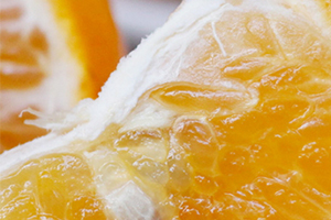 沃柑是橘子還是橙子？沃柑是熱性還是涼性