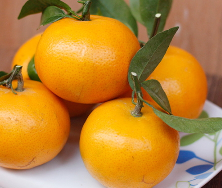 沃柑是橘子還是橙子？沃柑是熱性還是涼性