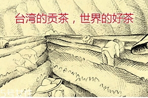 四云奶蓋貢茶哪個好喝？四云奶蓋貢茶點單攻略