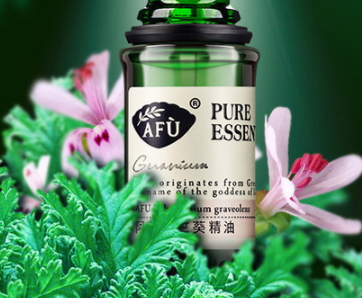 天竺葵精油的功效與作用 天竺葵精油的功效與作用