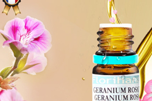 天竺葵精油可以擦臉嗎？天竺葵精油怎么擦臉