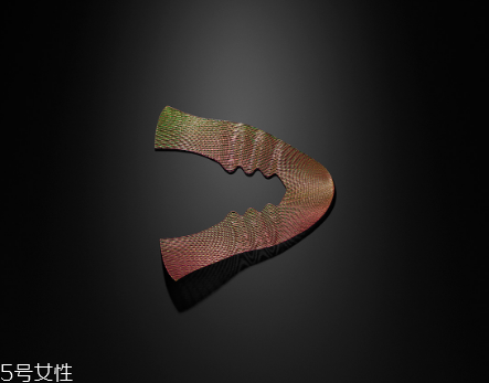 耐克3d打印跑步鞋怎么樣？nike zoom vaporfly elite flyprint評(píng)測(cè)