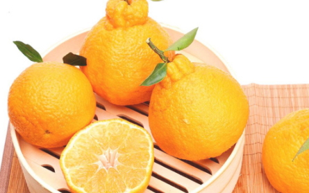 丑橘上火嗎？丑橘是上火還是下火