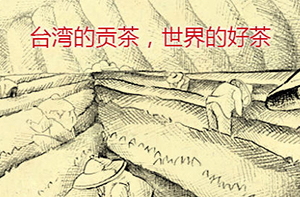 四云奶蓋貢茶哪個(gè)好喝？四云奶蓋貢茶點(diǎn)單攻略