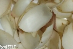 新鮮百合可以燉藕嗎？新鮮百合燉藕好吃嗎？