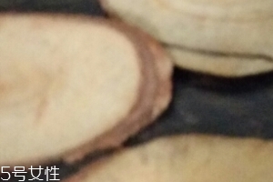 東革阿里是中藥嗎？東革阿里是什么？