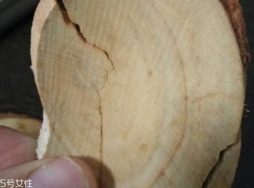 東革阿里是中藥嗎？東革阿里是什么？