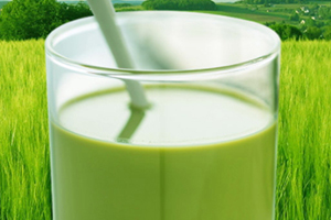 大麥若葉青汁豆奶多少錢？網(wǎng)紅貝花子大麥若葉青汁豆奶