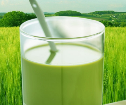 大麥若葉青汁豆奶好喝嗎？貝花子大麥若葉青汁豆奶點(diǎn)評