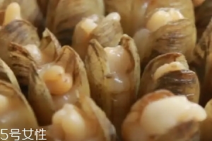 清蒸蟶子的做法 清蒸蟶子怎么做好吃？