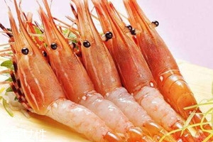 牡丹蝦多少錢一只 牡丹蝦選購技巧及真假辨別方法 牡丹蝦多少錢一只 牡丹蝦選購技巧及真假辨別方法