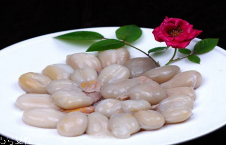 墨魚(yú)蛋能吃嗎 哪些人不能吃墨魚(yú)蛋