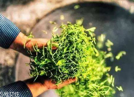 黃金茶怎么泡 黃金茶好喝嗎 黃金茶怎么泡 黃金茶好喝嗎