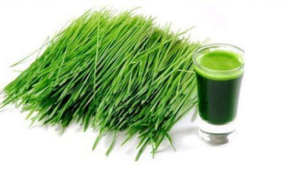 大麥若葉青汁是什么做的？