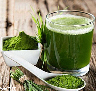 大麥若葉青汁會過敏嗎？