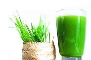 大麥若葉青汁可以加蜂蜜嗎？