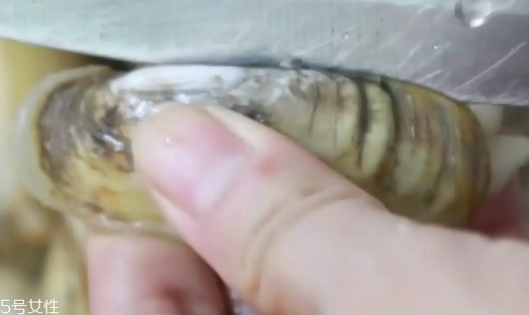 蔥香蟶子的做法 蔥香蟶子怎么做好吃？