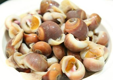 香螺煮多久 香螺要煮多久才熟 香螺煮多久 香螺要煮多久才熟