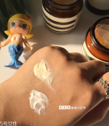 aesop伊索櫻草保濕霜和蜜柑水潤乳哪個好 aesop伊索櫻草保濕霜和蜜柑水潤乳哪個好