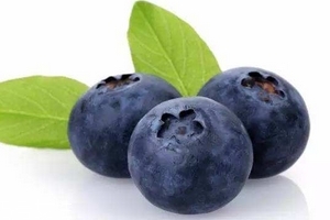 花青素是雌激素嗎？花青素是什么？