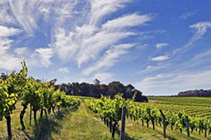 lellure是什么牌子？lellure是哪國的？