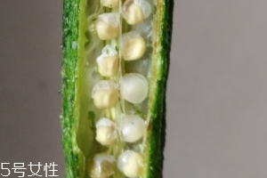 秋葵干好吃嗎？秋葵干怎么吃？