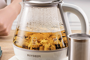 北鼎是哪個國家的品牌？北鼎是什么牌子