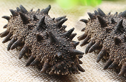 海參會(huì)過(guò)期嗎？海參的保質(zhì)期