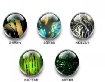 jm防曬噴霧什么味道？jmsolution防曬噴霧好聞嗎？