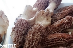 羊肚菌是什么東西？羊肚菌能吃嗎？