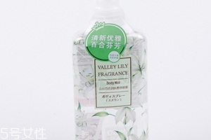 香體噴霧哪個(gè)牌子好？香體噴霧排行榜