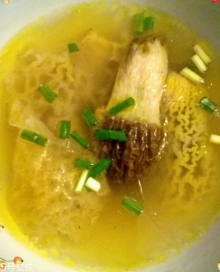 羊肚菌是怎么長出來的？