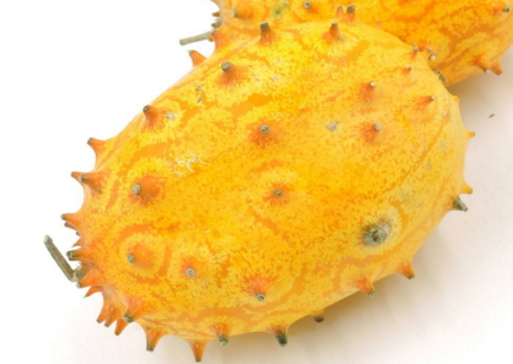 火參果可以減肥嗎 火參果熱量高嗎 火參果可以減肥嗎 火參果熱量高嗎